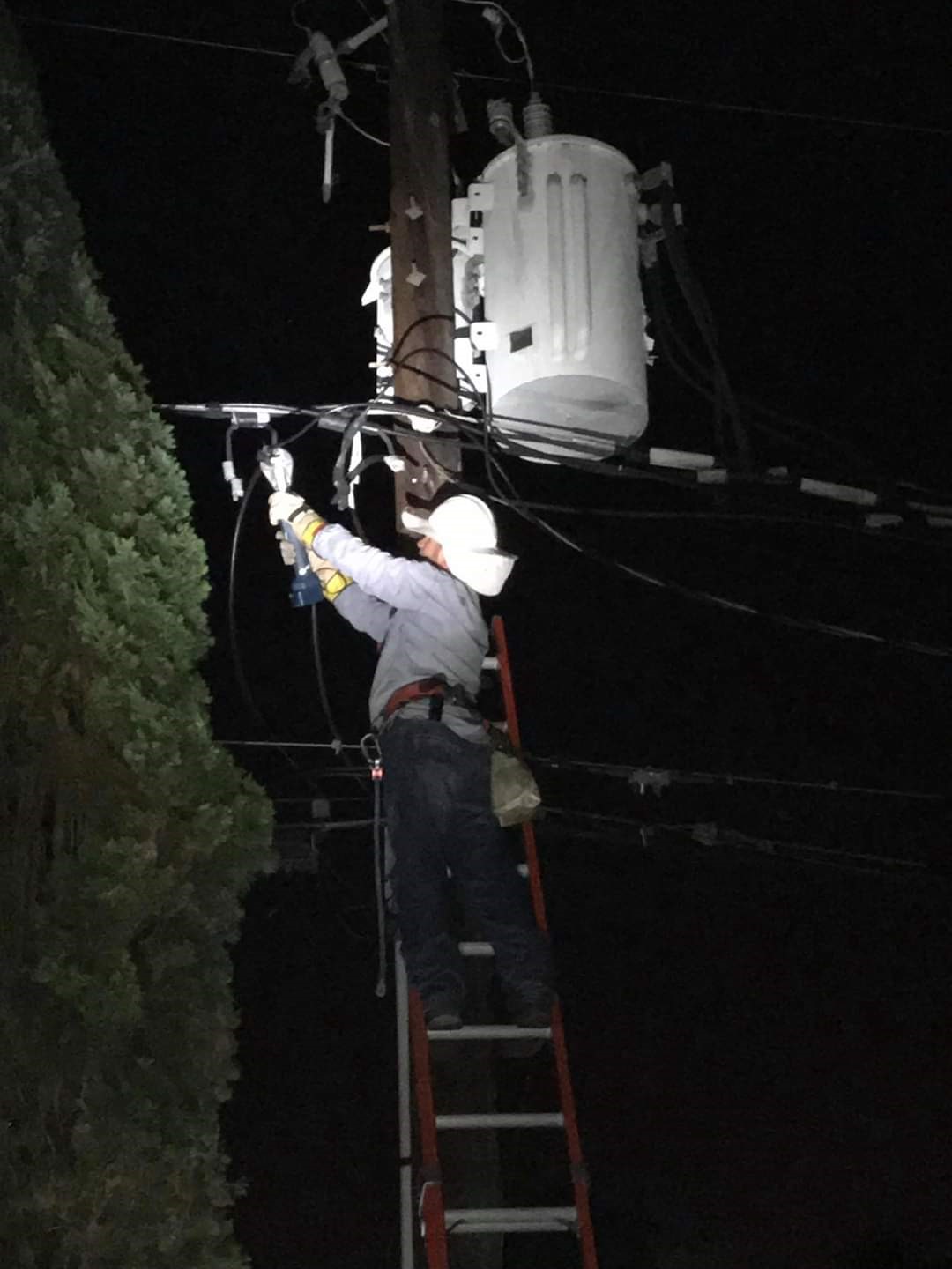 Reliable USA Electric Image